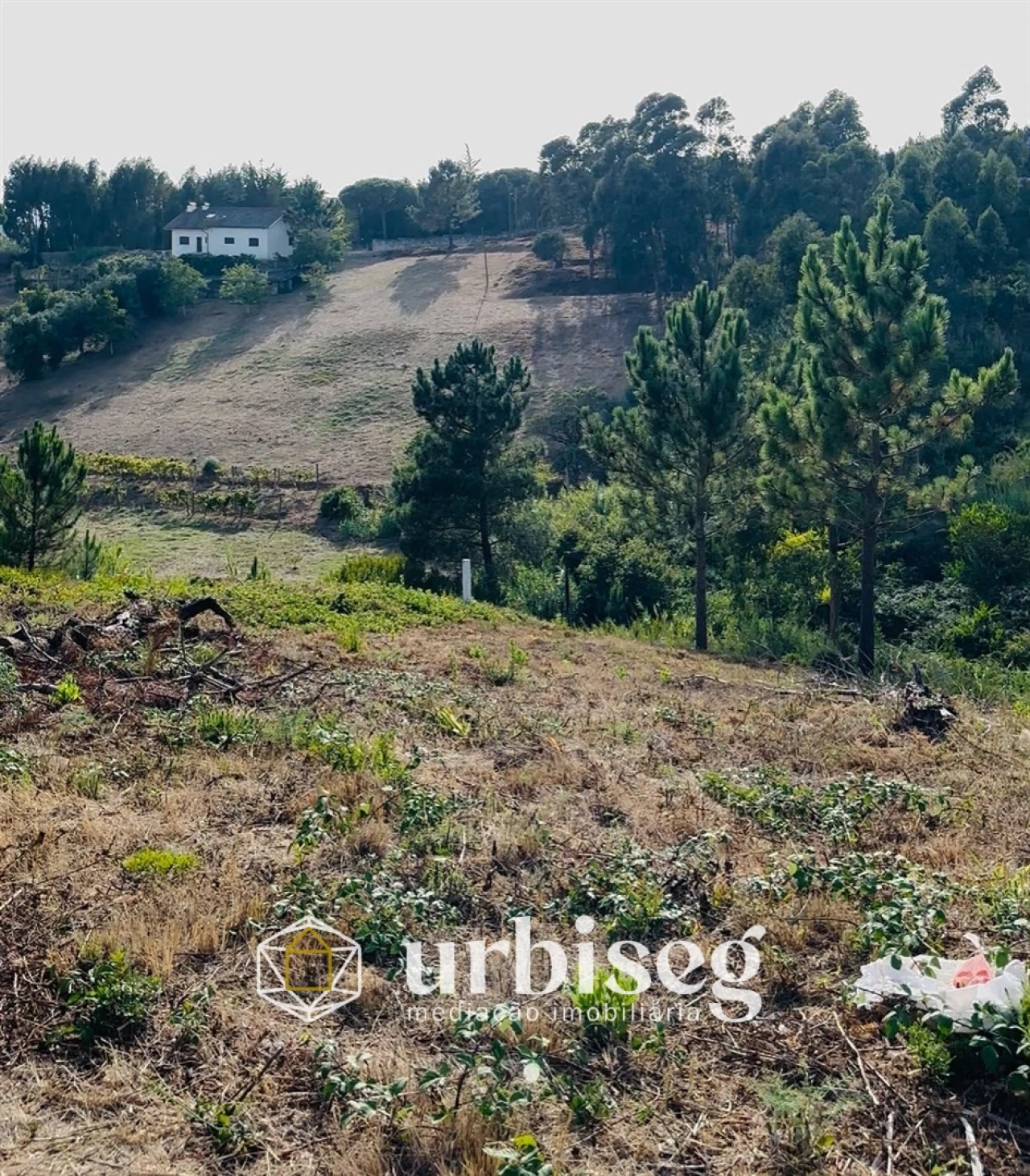Terreno Agricola ou Rústico para Venda em Buarcos Foto 2