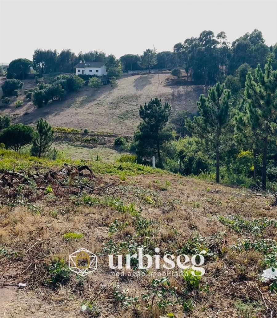 Terreno Agricola ou Rústico para Venda em Buarcos Foto 2
