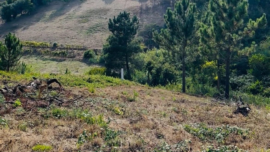 Terreno Agricola ou Rústico para Venda em Buarcos