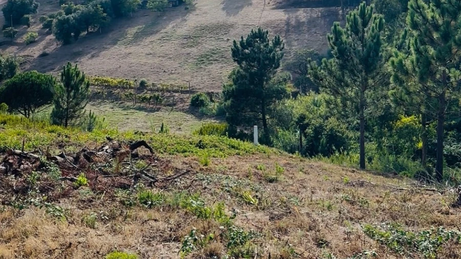Terreno Agricola ou Rústico para Venda em Buarcos