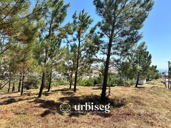 Terreno Agricola ou Rústico para Venda em Buarcos Foto 2