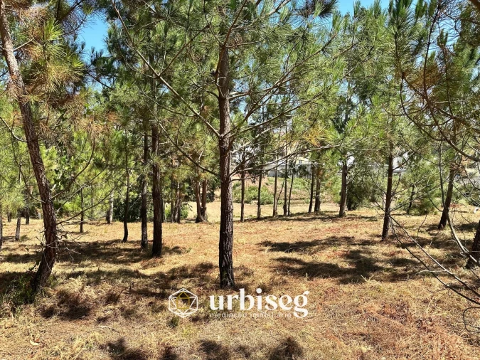 Terreno Agricola ou Rústico para Venda em Buarcos Foto 3