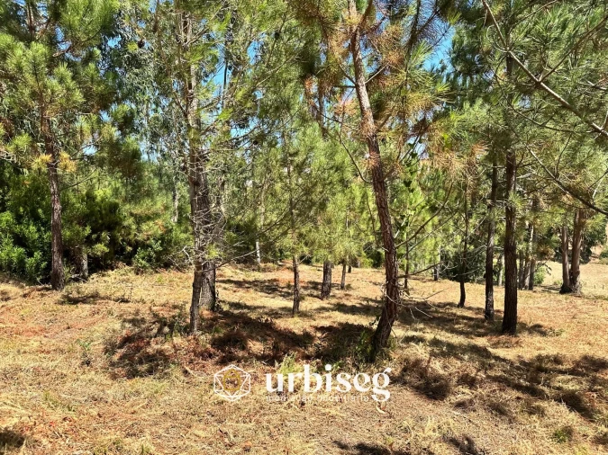 Terreno Agricola ou Rústico para Venda em Buarcos Foto 4