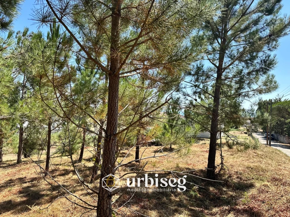 Terreno Agricola ou Rústico para Venda em Buarcos Foto 2