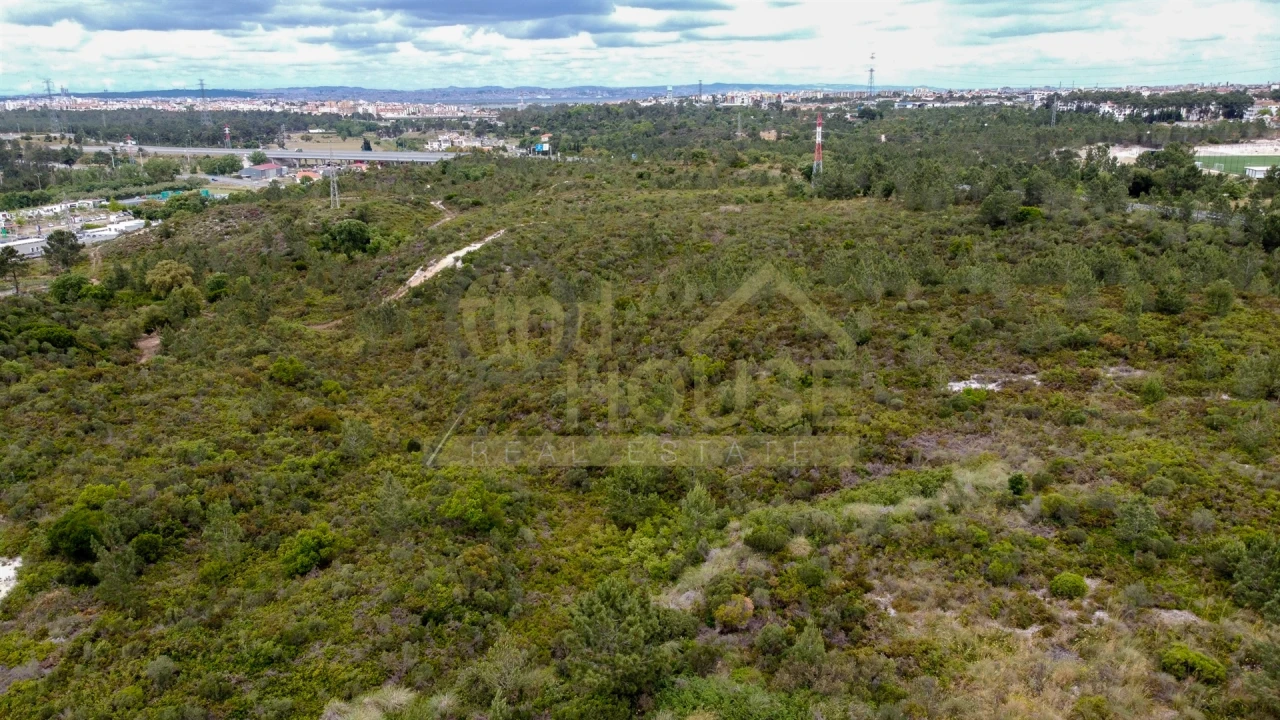 Terreno para Venda em Fernao Ferro Foto 14