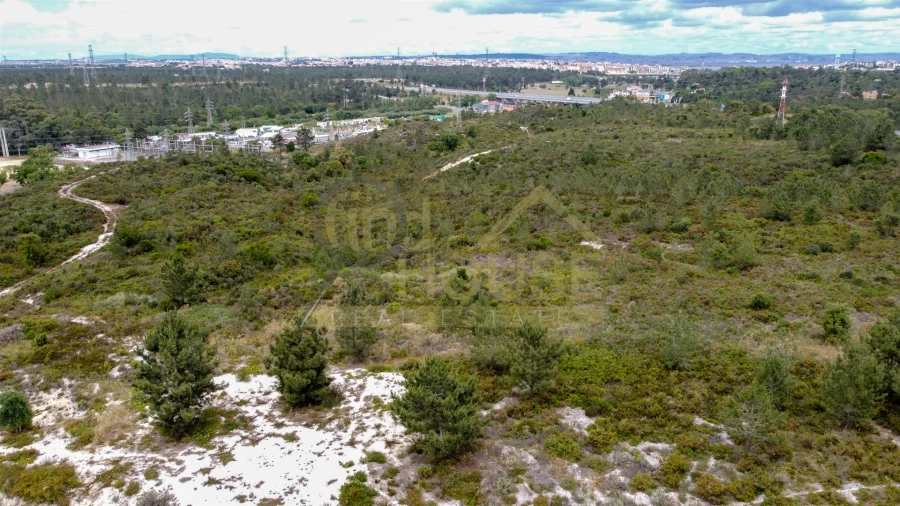 Terreno para Venda em Fernao Ferro Foto 17