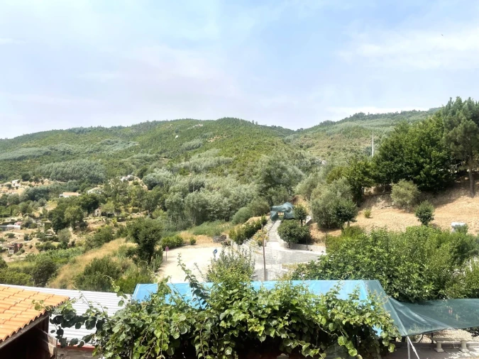 Negócio para Venda em Penalva de Alva e São Sebastião da Feira Foto 49