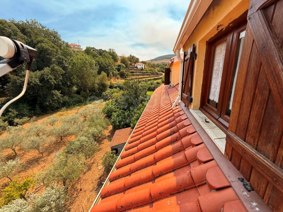 Quinta T7 para Venda em Felgar e Souto da Velha Foto 7