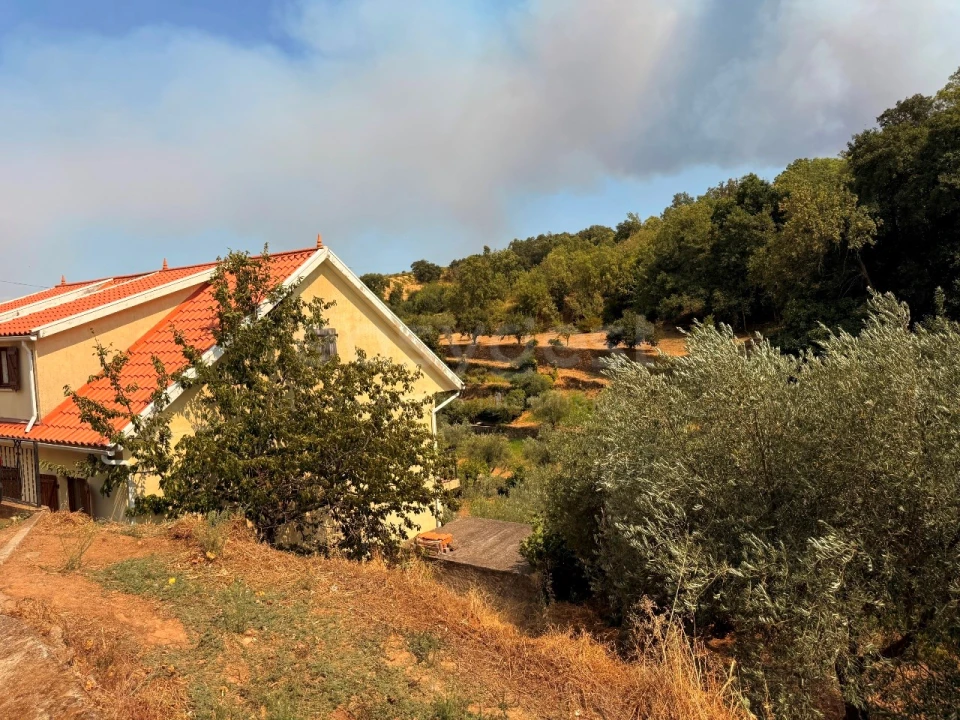 Quinta T7 para Venda em Felgar e Souto da Velha Foto 8