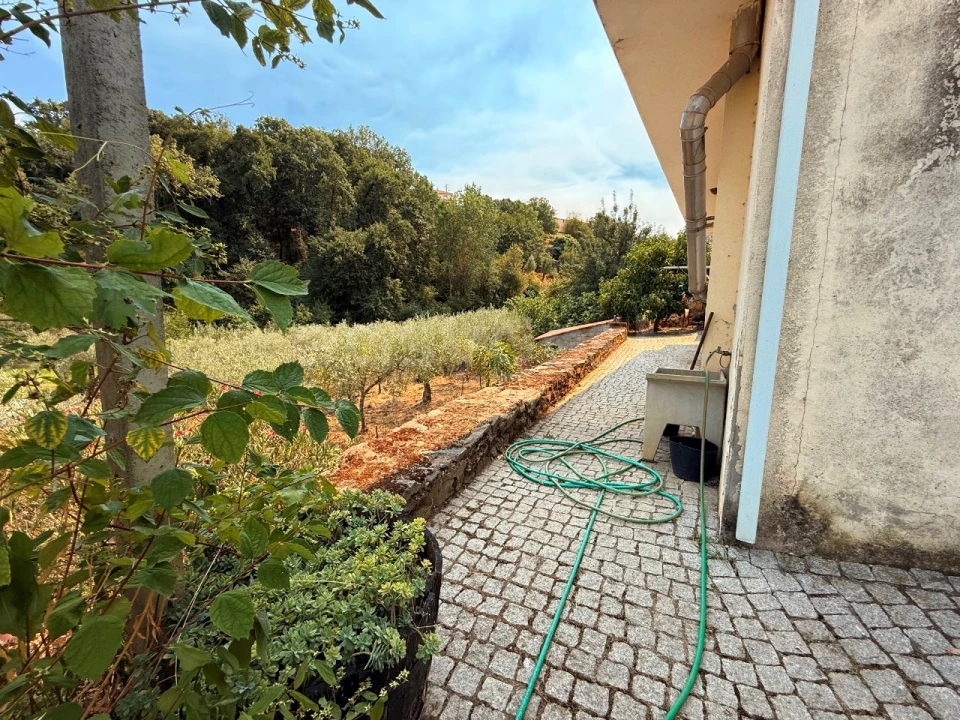 Quinta T7 para Venda em Felgar e Souto da Velha Foto 9