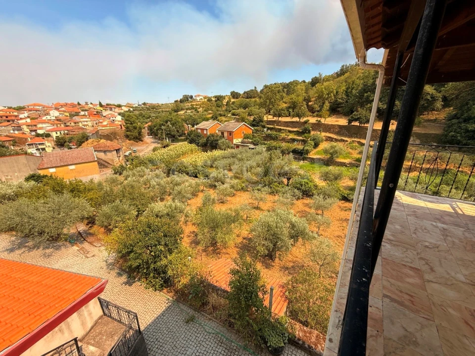 Quinta T7 para Venda em Felgar e Souto da Velha Foto 12