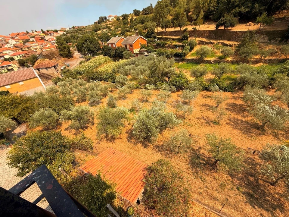 Quinta T7 para Venda em Felgar e Souto da Velha Foto 13