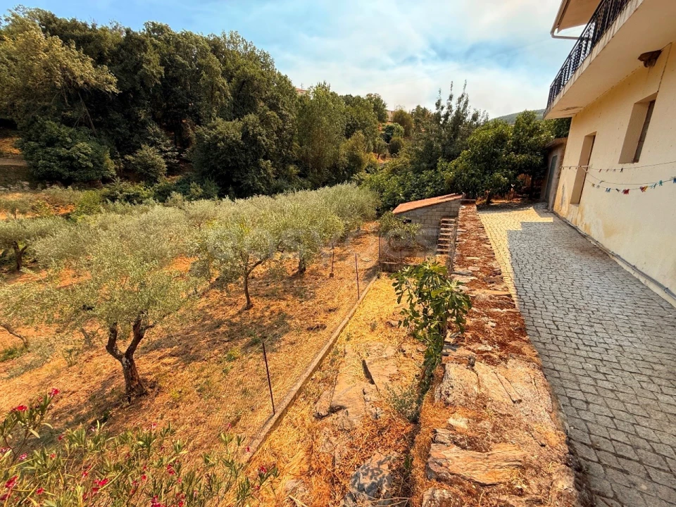 Quinta T7 para Venda em Felgar e Souto da Velha Foto 18