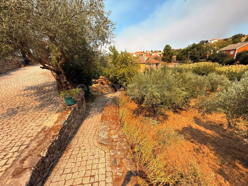 Quinta T7 para Venda em Felgar e Souto da Velha Foto 19