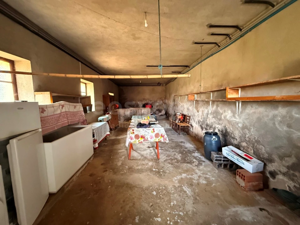 Quinta T7 para Venda em Felgar e Souto da Velha Foto 40