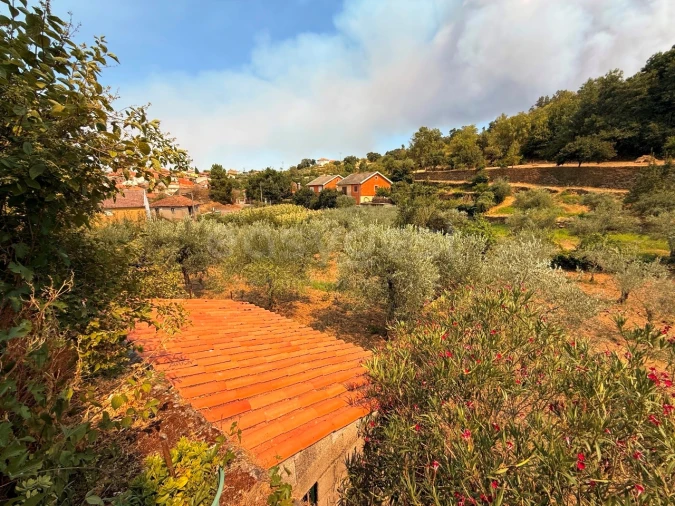 Quinta T7 para Venda em Felgar e Souto da Velha Foto 6