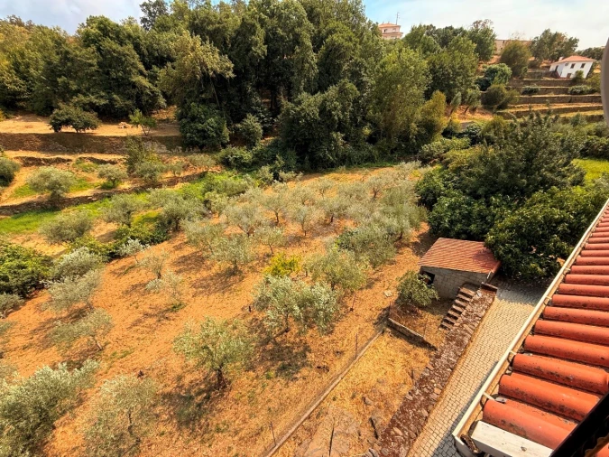 Quinta T7 para Venda em Felgar e Souto da Velha Foto 14