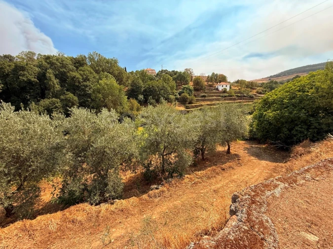 Quinta T7 para Venda em Felgar e Souto da Velha Foto 15