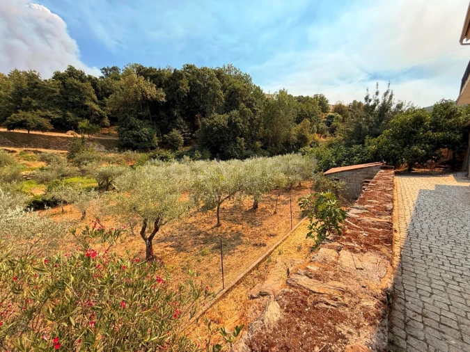 Quinta T7 para Venda em Felgar e Souto da Velha Foto 17