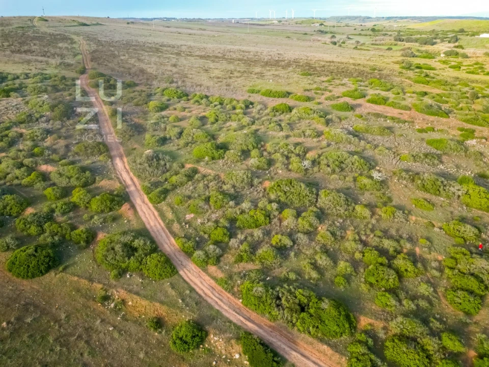 Terreno Agricola ou Rústico para Venda em Vila do Bispo e Raposeira Foto 5