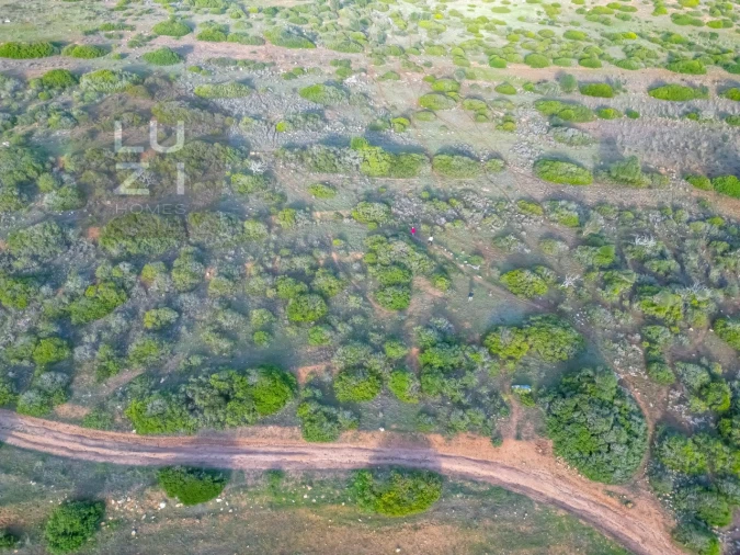 Terreno Agricola ou Rústico para Venda em Vila do Bispo e Raposeira Foto 4