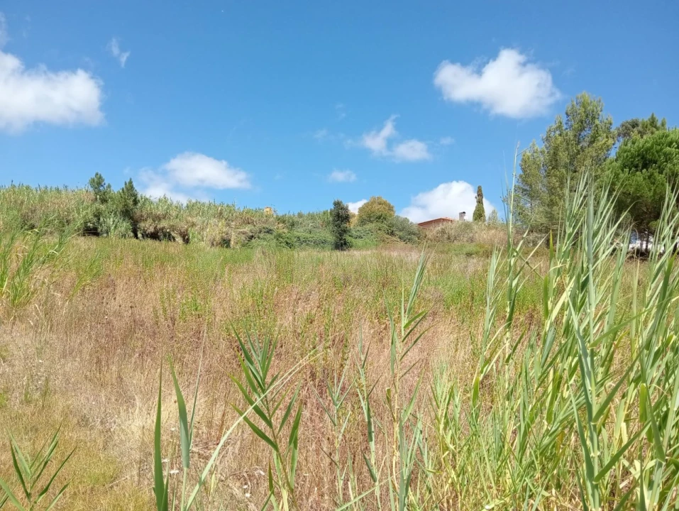 Terreno Agricola ou Rústico para Venda em Dois Portos e Runa Foto 9
