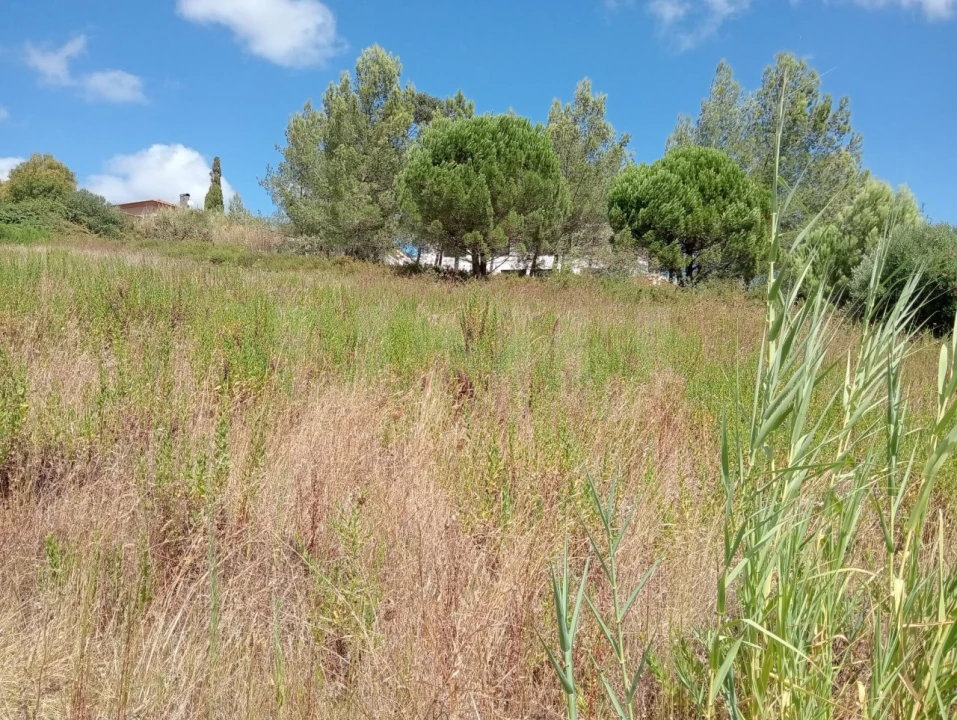 Terreno Agricola ou Rústico para Venda em Dois Portos e Runa Foto 12