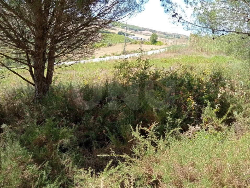 Terreno Agricola ou Rústico para Venda em Dois Portos e Runa Foto 8