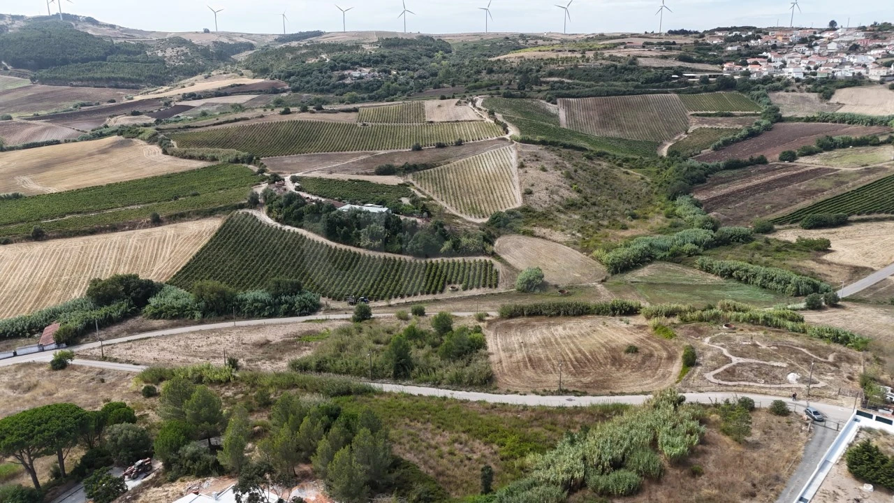 Terreno Agricola ou Rústico para Venda em Dois Portos e Runa Foto 2