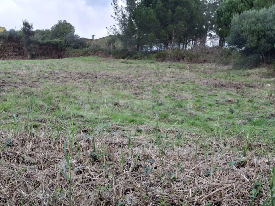 Terreno Agricola ou Rústico para Venda em Dois Portos e Runa Foto 20