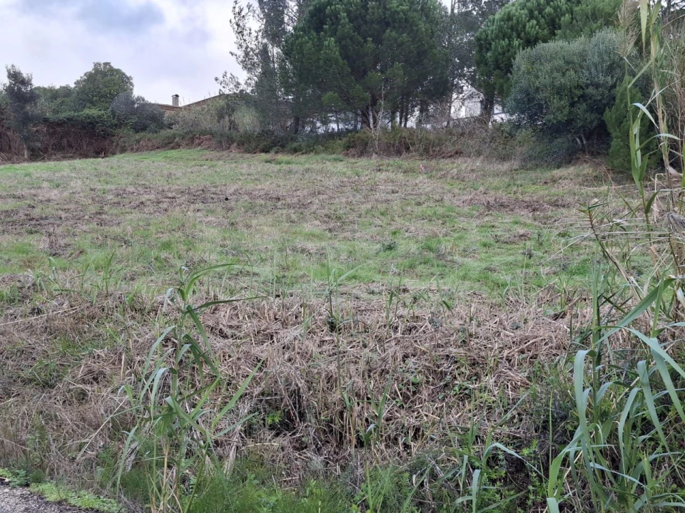 Terreno Agricola ou Rústico para Venda em Dois Portos e Runa Foto 21