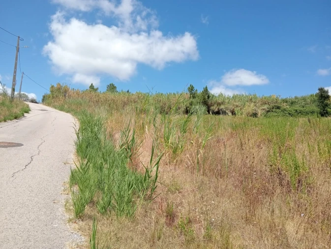 Terreno Agricola ou Rústico para Venda em Dois Portos e Runa Foto 15
