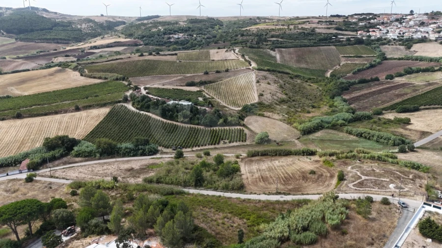 Terreno Agricola ou Rústico para Venda em Dois Portos e Runa Foto 2