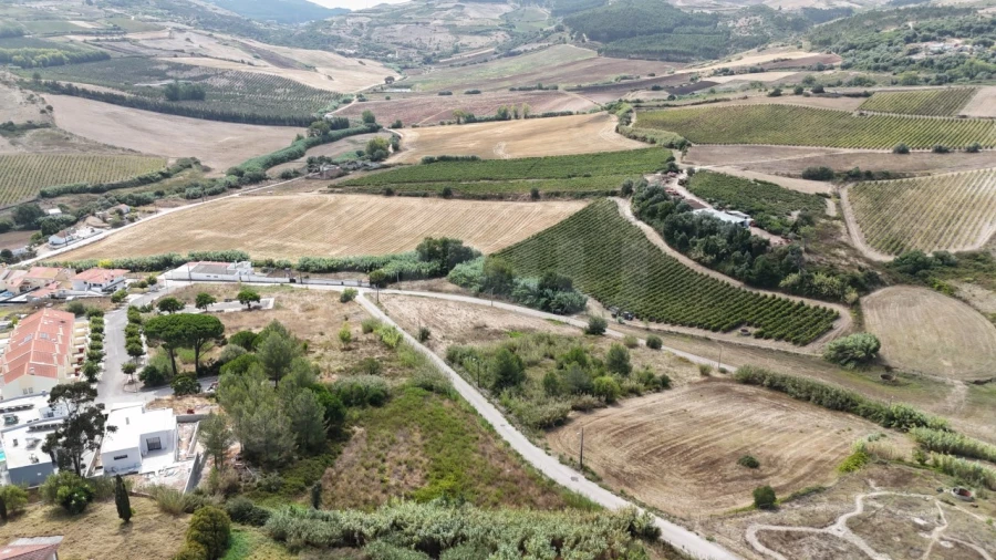 Terreno Agricola ou Rústico para Venda em Dois Portos e Runa Foto 4