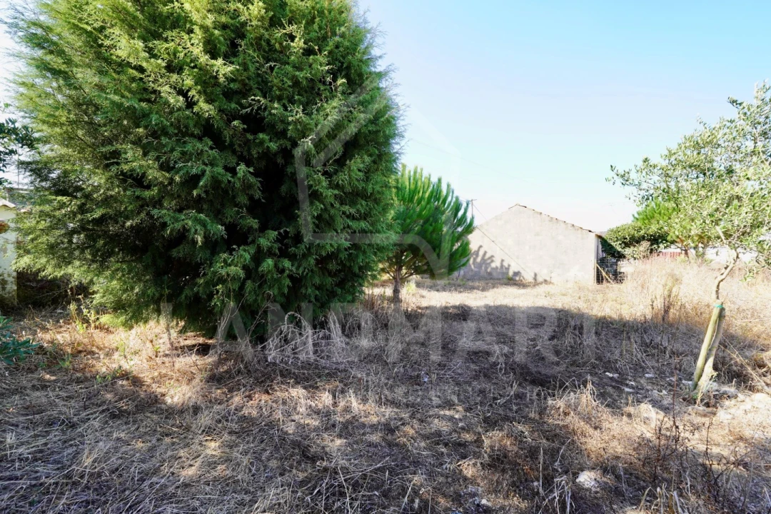 Moradia T3 para Venda em Turquel Foto 10