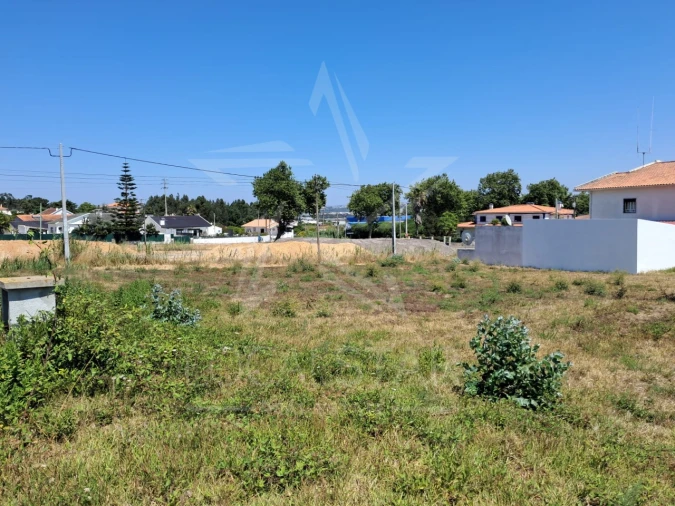 Terreno para Venda em Nadadouro Foto 2