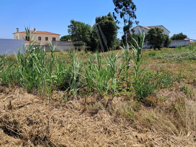 Terreno para Venda em Nadadouro Foto 3