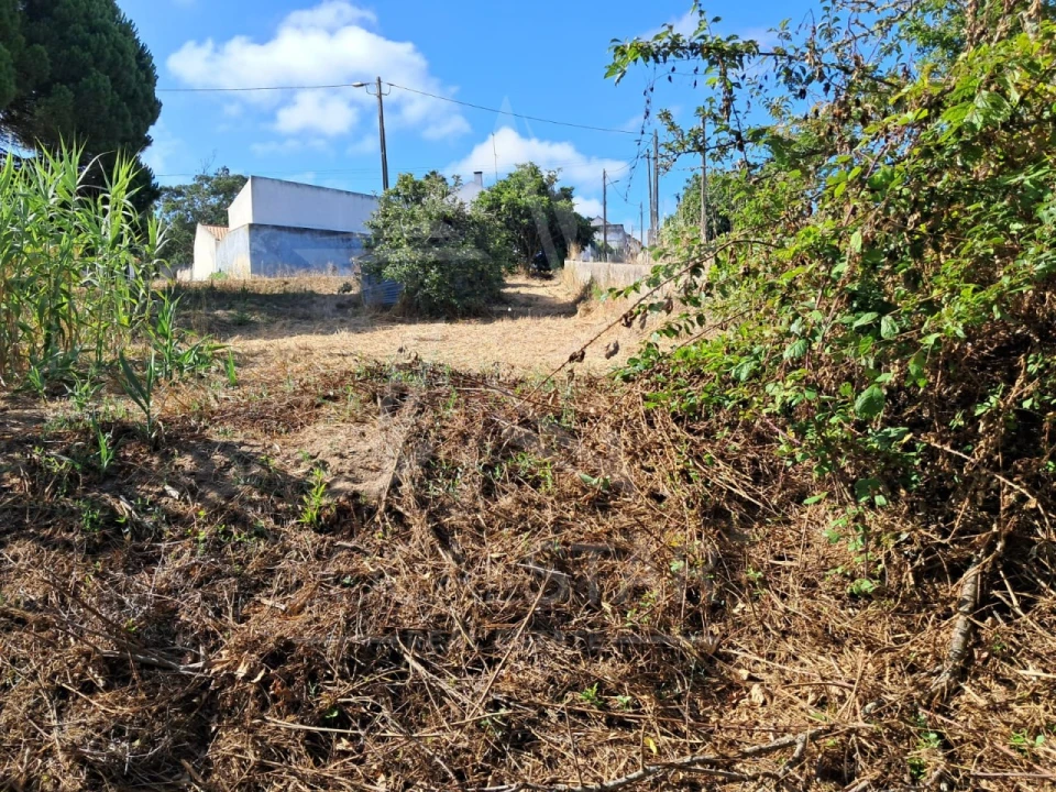 Terreno para Venda em Tornada e Salir do Porto Foto 4