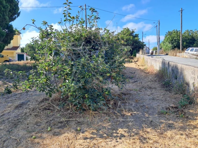 Terreno para Venda em Tornada e Salir do Porto Foto 1
