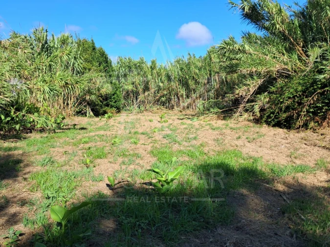 Terreno para Venda em Tornada e Salir do Porto Foto 2
