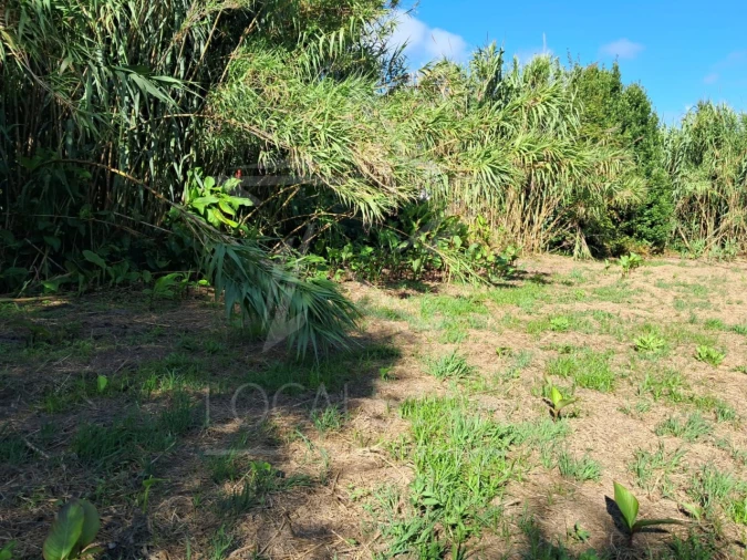 Terreno para Venda em Tornada e Salir do Porto Foto 6