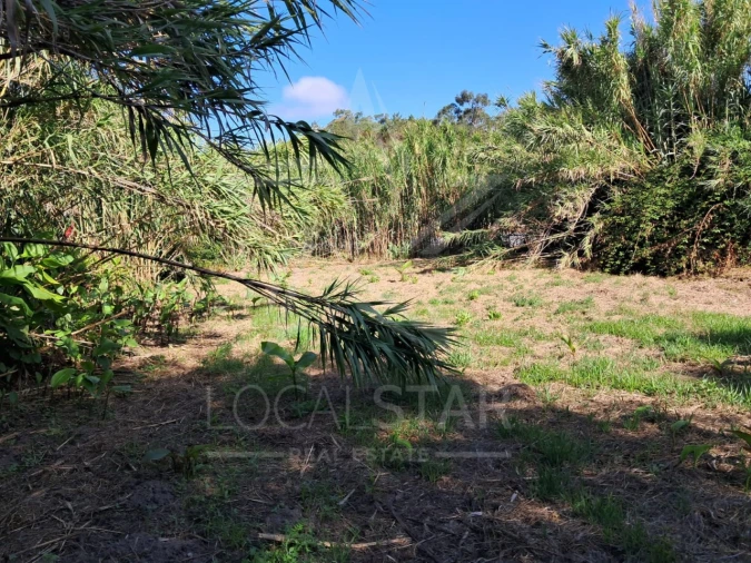 Terreno para Venda em Tornada e Salir do Porto Foto 8