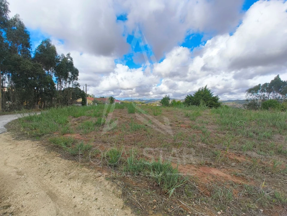 Terreno para Venda em Nossa Senhora do Pópulo, Coto e São Gregório Foto 12