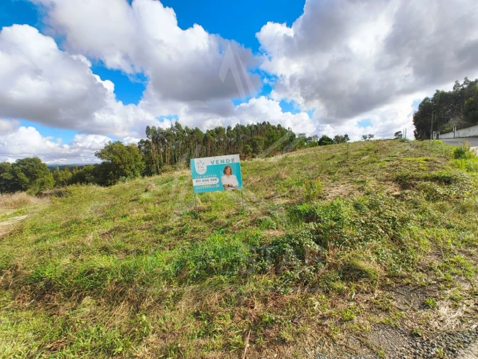 Terreno para Venda em Nossa Senhora do Pópulo, Coto e São Gregório Foto 5