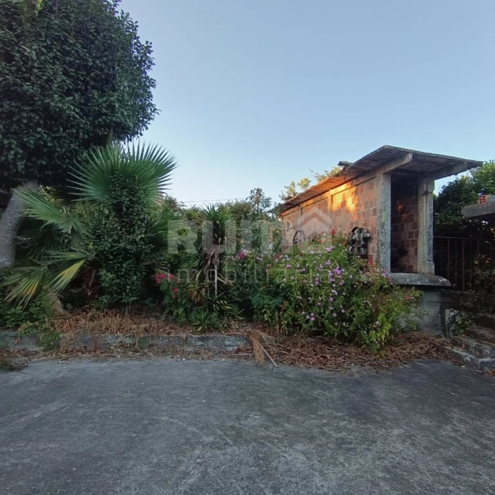 Quinta T5 para Venda em Alvarães Foto 2