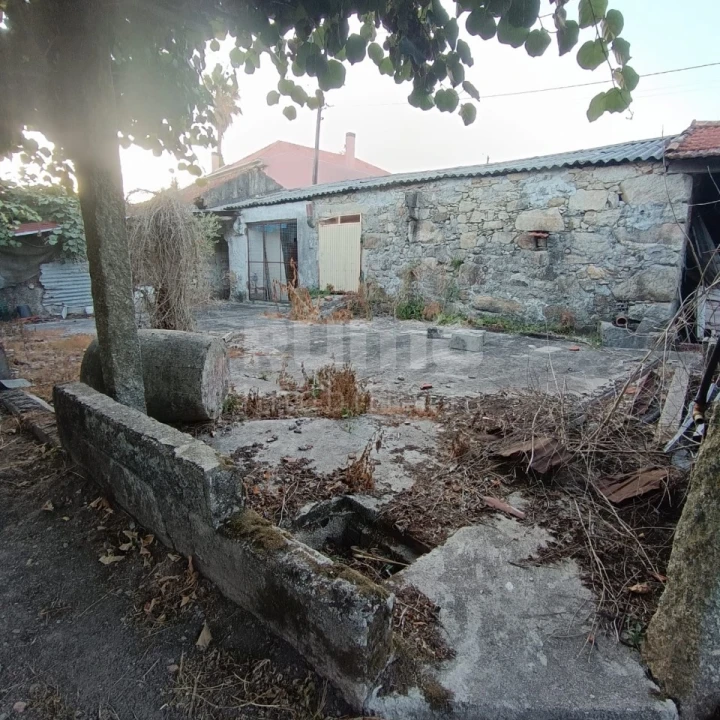 Quinta T5 para Venda em Alvarães Foto 4