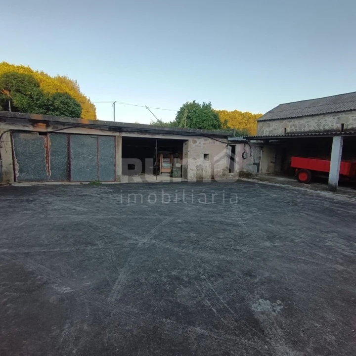 Quinta T5 para Venda em Alvarães Foto 25