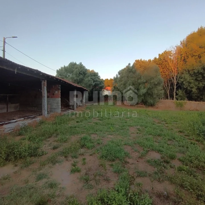 Quinta T5 para Venda em Alvarães Foto 29