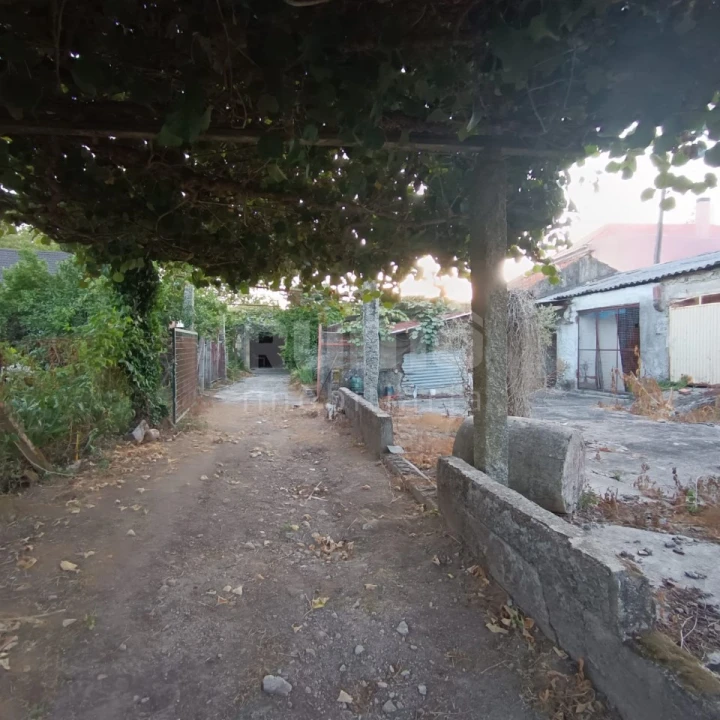 Quinta T5 para Venda em Alvarães Foto 31