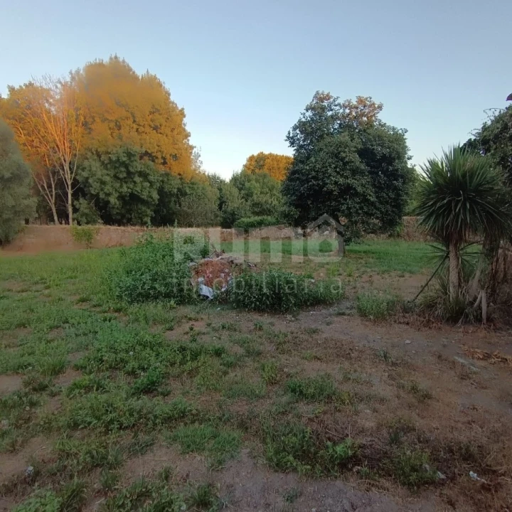 Quinta T5 para Venda em Alvarães Foto 35